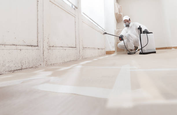 24/7 Emergency Crawl Space Mold Removal experts in Culpeper, VA