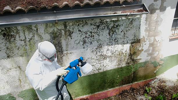 Trusted Bathroom Mold Removal service in Culpeper, VA - Cheap Mold Removal